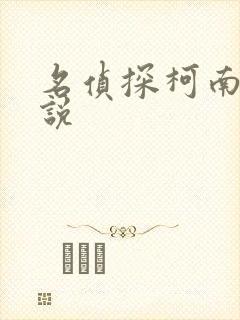 名侦探柯南h小说封面