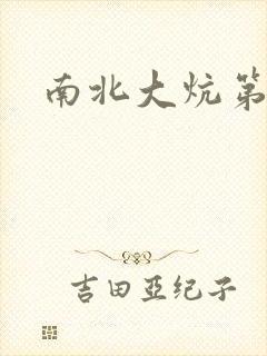 南北大炕第一部