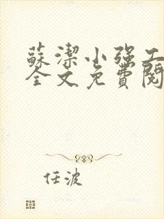 苏洁小强工地情全文免费阅读封面