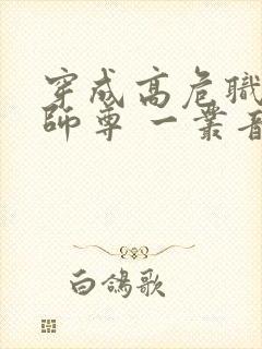 穿成高危职业之师尊 一丛音封面