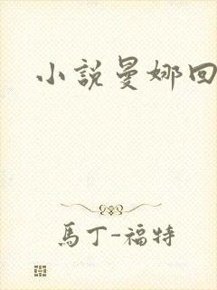 小说曼娜回忆录封面