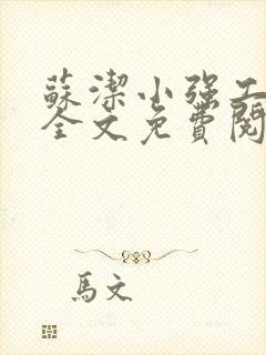 苏洁小强工地情全文免费阅读封面