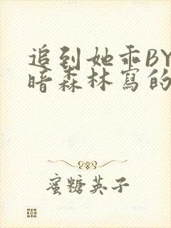 追到她乖BY黑暗森林写的小说