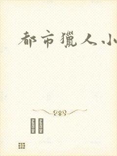 都市猎人小说封面