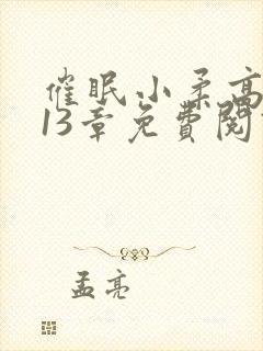 催眠小柔高达第13章免费阅读封面