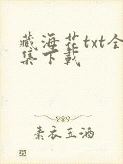藏海花txt全集下载