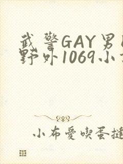 武警GAY男同野外1069小说封面