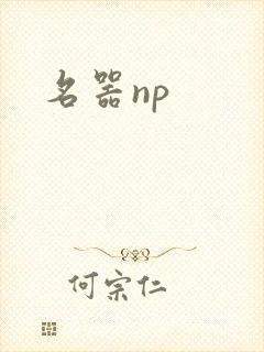 名器np