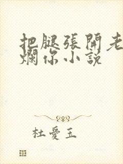 把腿张开老子臊烂你小说封面