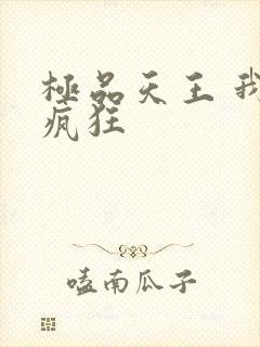 极品天王 我本疯狂