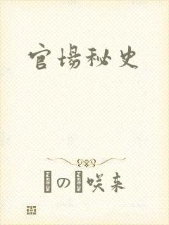 官场秘史