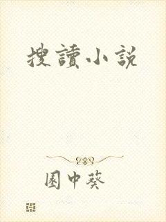 搜读小说