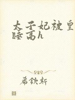 太子妃被皇上强睡高h