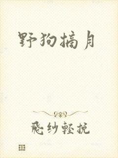 野狗摘月封面