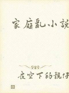 家庭乱小说