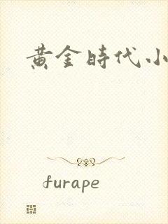 黄金时代小说