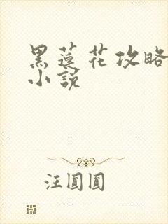 黑莲花攻略手册小说封面