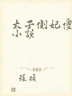 太子侧妃傻乎乎小说