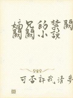 嫡兄的禁阙 华阙阙小说封面