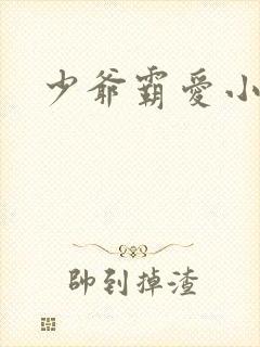 少爷霸爱小丫头封面