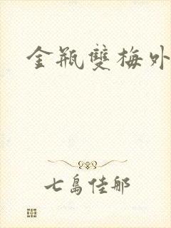 金瓶双梅外传封面