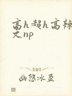 高h超h高辣h文np