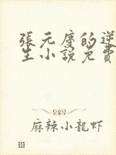 张元庆的逆袭人生小说免费阅读封面