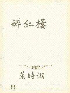 醉红楼封面