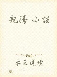 龙腾 小说封面