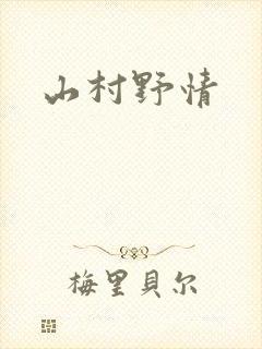 山村野情封面