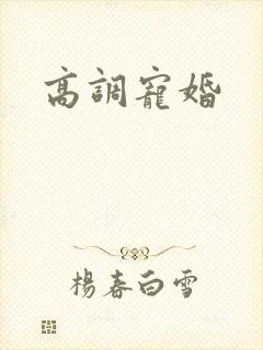 高调宠婚封面