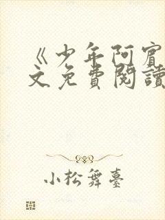 《少年阿宾》全文免费阅读