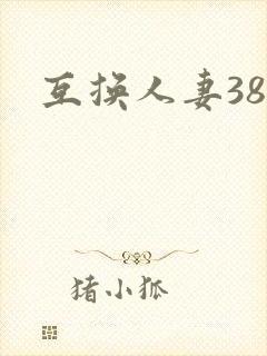 互换人妻38部封面