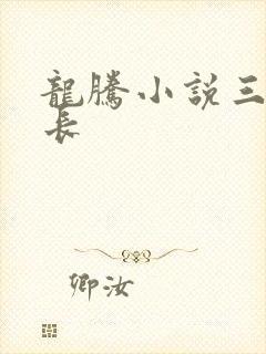 龙腾小说三宝局长封面