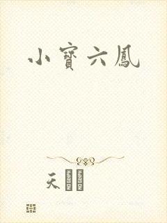 小宝六凤