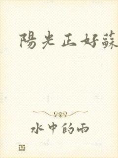 阳光正好苏玥封面