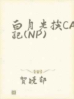 白月光挨CAO记(NP)
