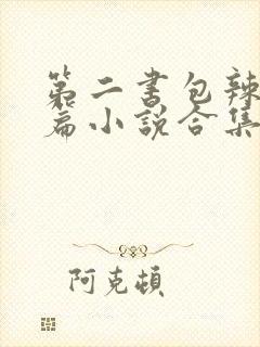 第二书包辣网短篇小说合集