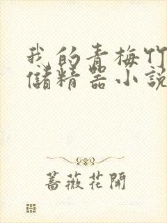 我的青梅竹马是储精器小说