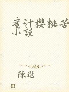 蜜汁樱桃苦咖啡小说