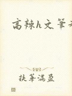 高辣h文笔趣阁
