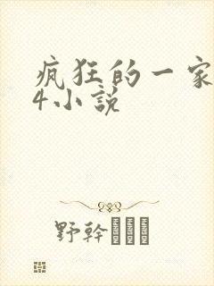 疯狂的一家ps4小说封面