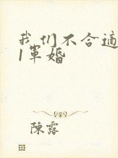 我们不合适1v1军婚