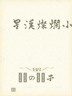 星汉灿烂小说