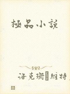 极品小说