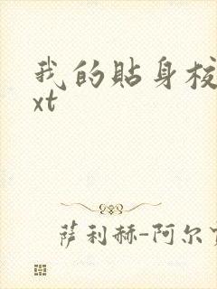 我的贴身校花txt封面