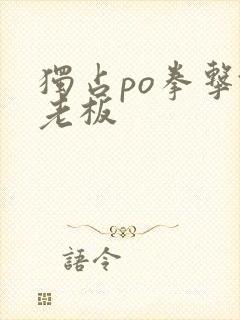 独占po拳击馆老板