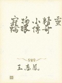 宠物小精灵之写轮眼传奇