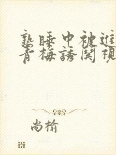 熟睡中被进了H青梅诱哄视频