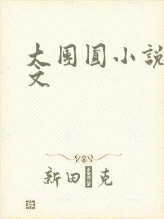 大团圆小说集全文